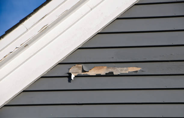 Trusted Flowood, MS Siding Experts